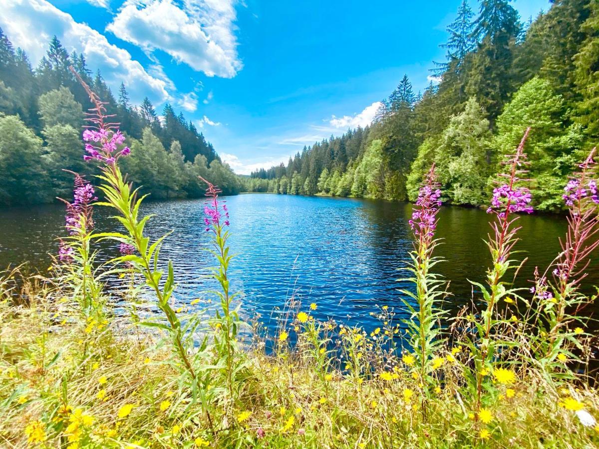 B&B Am Oker, Altenau, Harz Altenau  Eksteriør billede