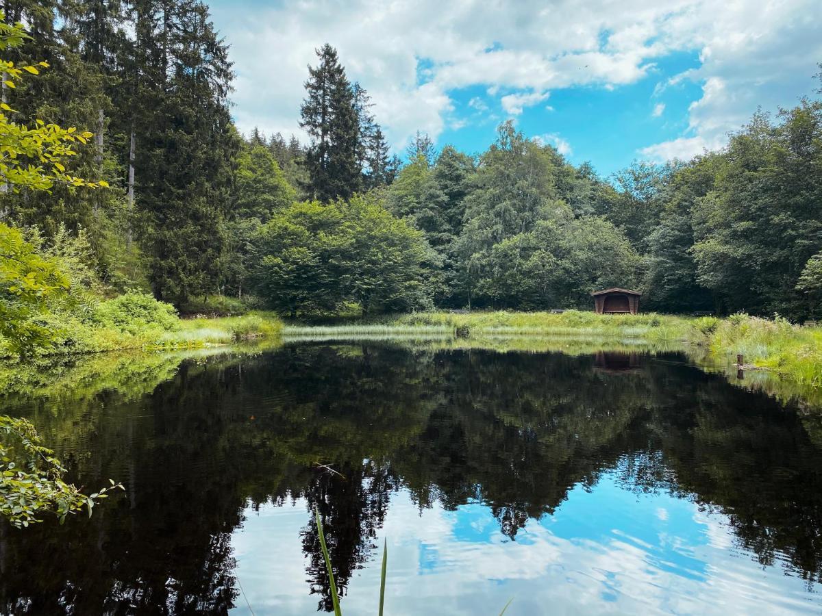 B&B Am Oker, Altenau, Harz Altenau  Eksteriør billede