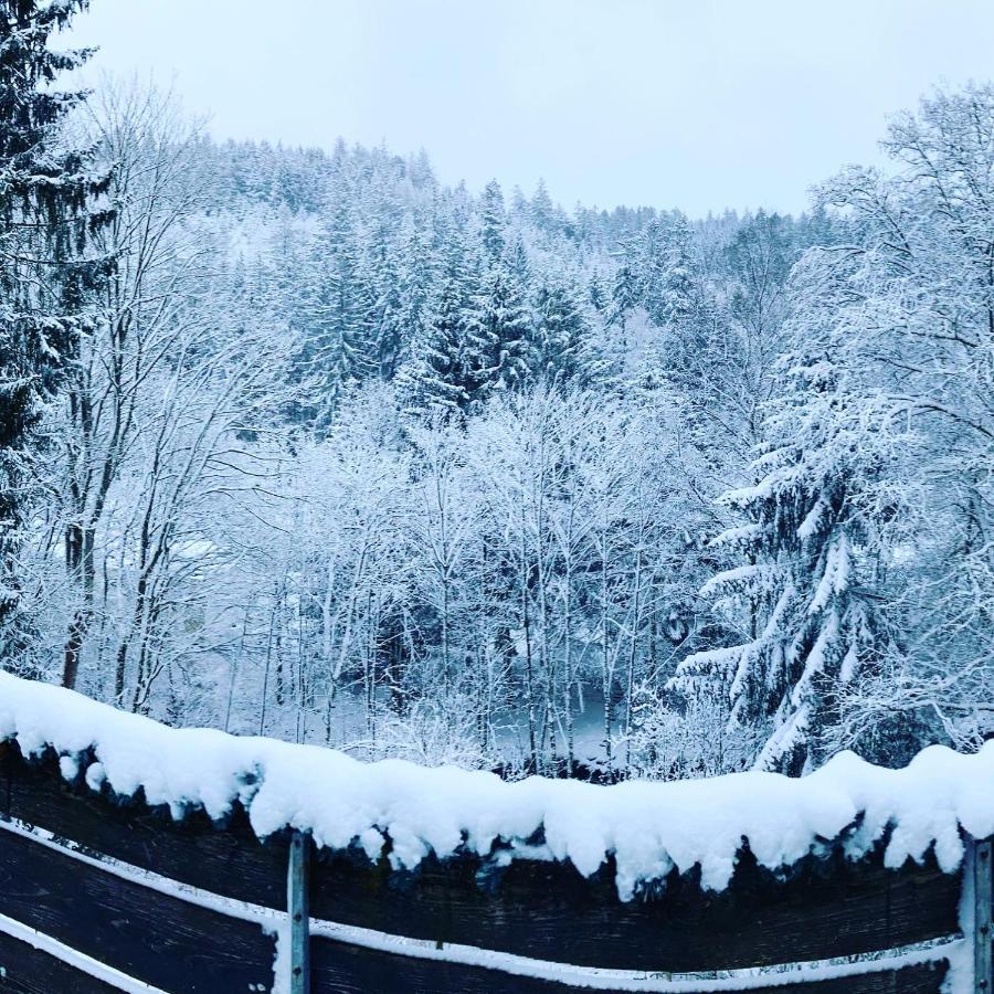 B&B Am Oker, Altenau, Harz Altenau  Eksteriør billede