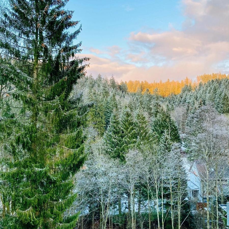 B&B Am Oker, Altenau, Harz Altenau  Eksteriør billede